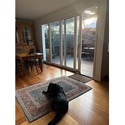 Home Owner wanting sitter in , Victoria
