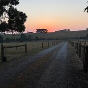 Home Owner wanting sitter in Warragul , Victoria
