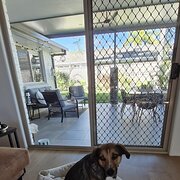 Home Owner wanting sitter in Gold coast, Queensland
