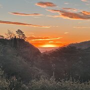 Home Owner wanting sitter in Adelaide, South Australia