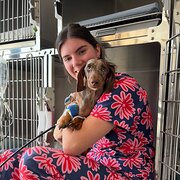 House Sitter - Maddie