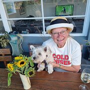 House Sitter - Amanda 64 retire & Angus 4 yr old Westie