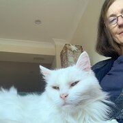 Home Owner wanting sitter in Sydney , New South Wales