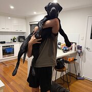 Home Owner wanting sitter in , Queensland
