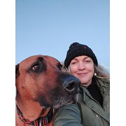 House Sitter - Respectful and caring.