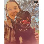 House Sitter - Compassion and care for animals