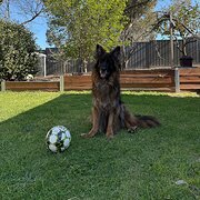 Home Owner wanting sitter in , Western Australia