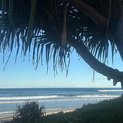 Home Owner wanting sitter in Surfers Paradise, Queensland