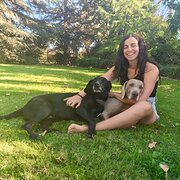 House Sitter - Chilean professional pet sitter