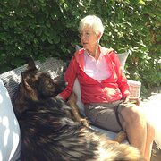 House Sitter - Kind, reliable & caring pet/housesitter