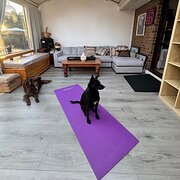 Home Owner wanting sitter in Adelaide, South Australia