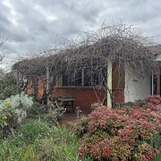 Home Owner wanting sitter in Canberra, Australian Capital Territory