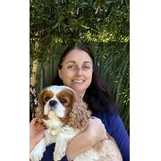 House Sitter - Dedicated & Caring House sitters