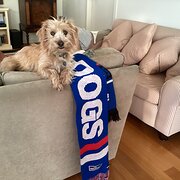 Home Owner wanting sitter in Frankston, Victoria