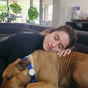 House Sitter - Julie