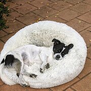 Home Owner wanting sitter in Perth, Western Australia
