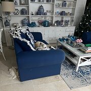 Home Owner wanting sitter in Banksia Beach, Queensland