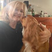 House Sitter - Ms shelley