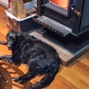 Home Owner wanting sitter in Port Macquarie , New South Wales