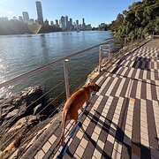 Home Owner wanting sitter in , Queensland