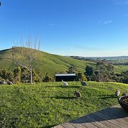 Home Owner wanting sitter in Melbourne , Victoria