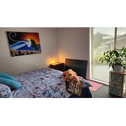 Home Owner wanting sitter in Warrnambool, Victoria