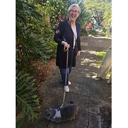 House Sitter - Reliable Retiree for Peace of Mind 