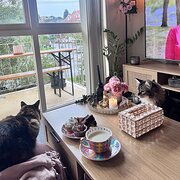 Home Owner wanting sitter in , New South Wales