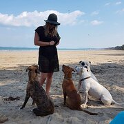 House Sitter - Lucie 