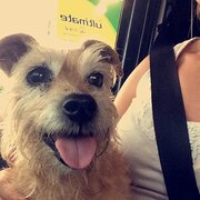 House Sitter - Rebecca