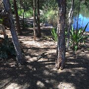 Home Owner wanting sitter in Brisbane , Queensland