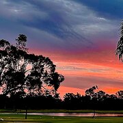 Home Owner wanting sitter in Cairns, Queensland