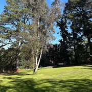 Home Owner wanting sitter in Warrandyte, Victoria