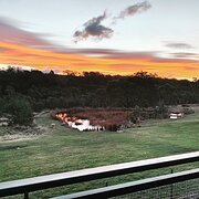 Home Owner wanting sitter in Launceston , Tasmania