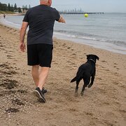 House Sitter - Caring, Reliable & Passionate About Pets