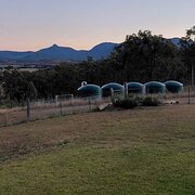 Home Owner wanting sitter in Brisbane, Queensland