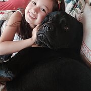 Home Owner wanting sitter in PRESTON SETTLEMENT, Western Australia