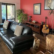 Home Owner wanting sitter in Newcastle, New South Wales