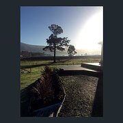 Home Owner wanting sitter in GROVE, Tasmania