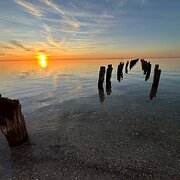 Home Owner wanting sitter in Geelong, Victoria
