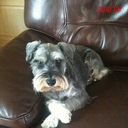 House Sitter - Uk early retirees visiting Relatives