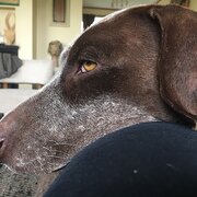 House Sitter - Tanya