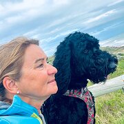 House Sitter - House & pet sitter