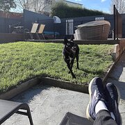 Home Owner wanting sitter in , Victoria