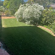 Home Owner wanting sitter in brisbane, Queensland