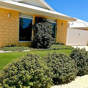 Home Owner wanting sitter in Bunbury, Western Australia