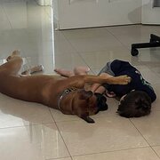 Home Owner wanting sitter in , Western Australia