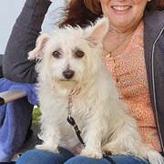Home Owner wanting sitter in Perth, Western Australia
