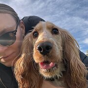House Sitter - Responsible and wfh animal lover!