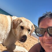 Home Owner wanting sitter in Melbourne , Victoria